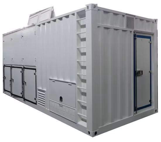 Banco di carico del generatore diesel 400V 2000kw di tipo contenitore personalizzato